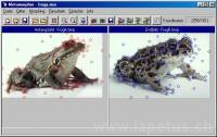 JPEG - 77.2 kB